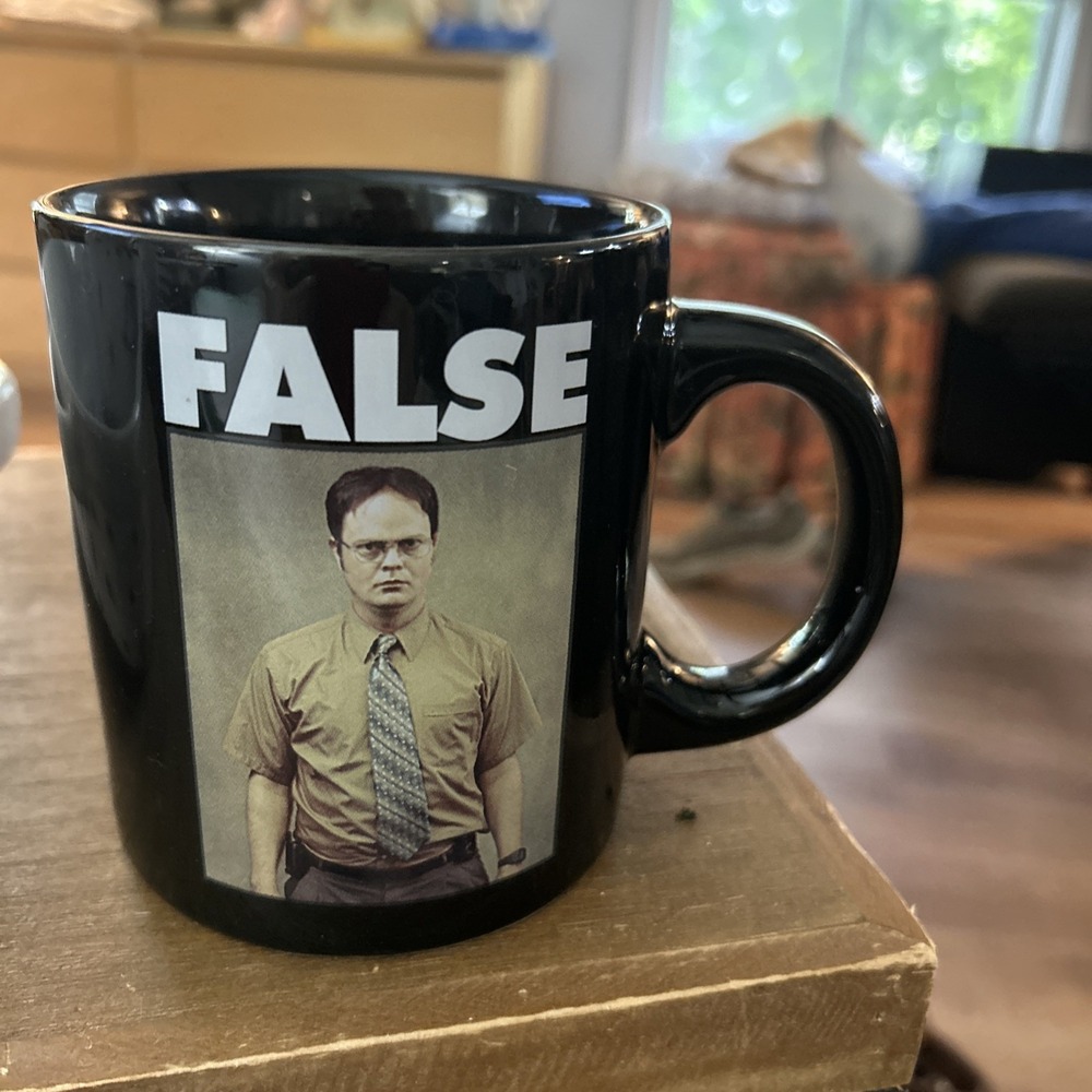 The Office Dwight Schrute FALSE 20 Oz Black Ceramic Mug